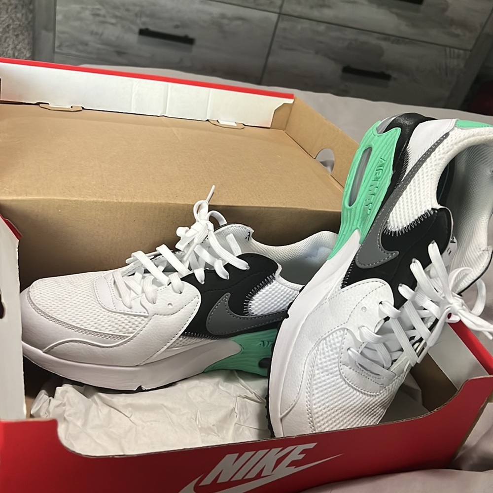 Nike Air Max Sneakers